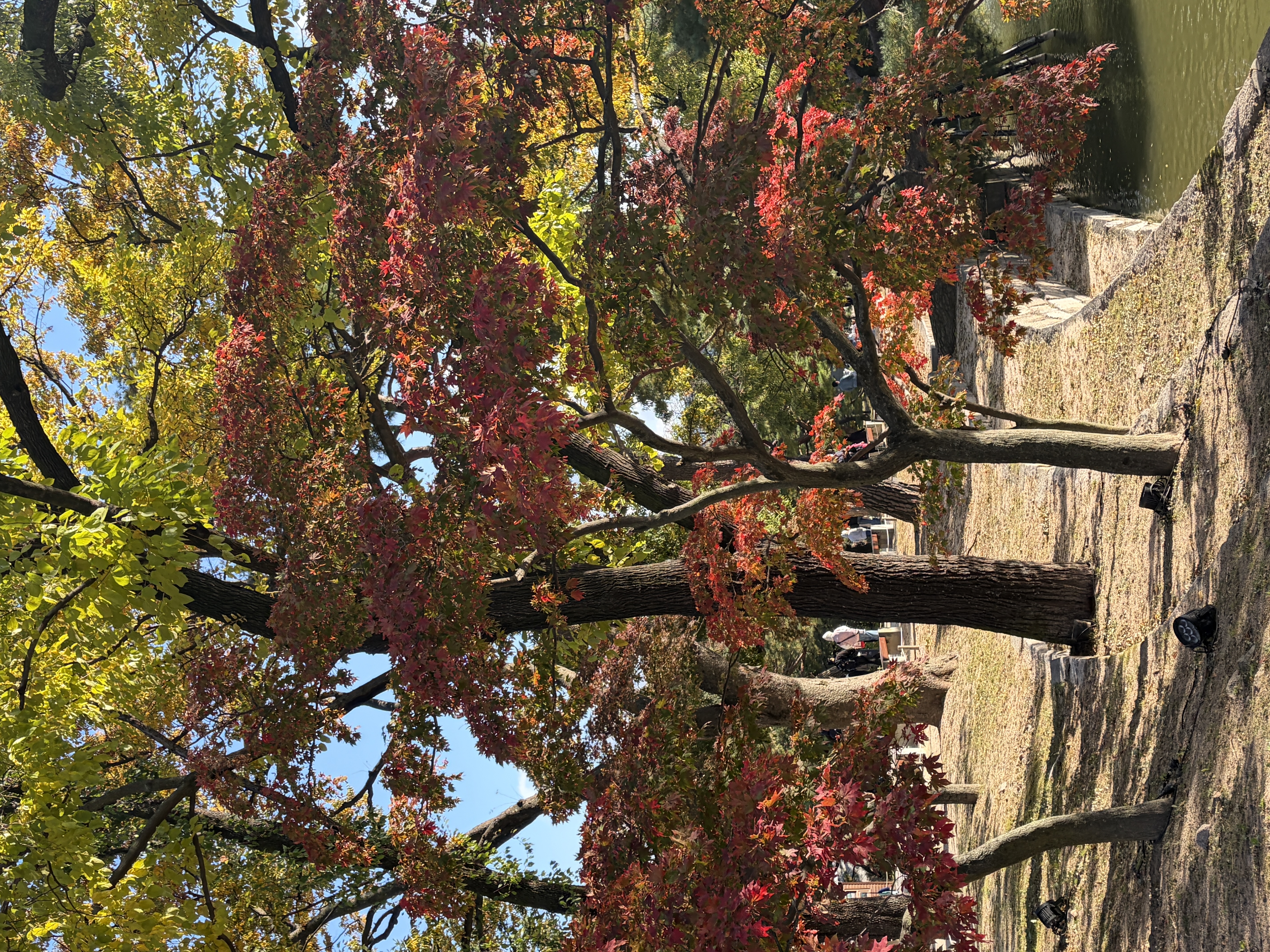 Gyeongbokgung Palace